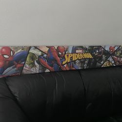 Spider-Man  Canvas 
