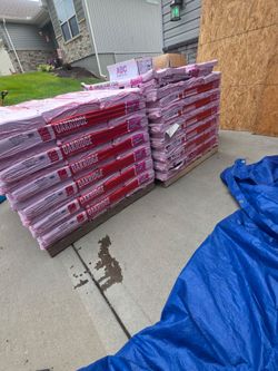 Shingles