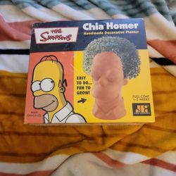 Homer Simpson Chia Pet Great Christmas GIFT for a Simpsons Collector