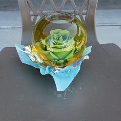 A Forever Rose In A Glass Globe