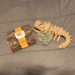 Bearded Dragon Accessories