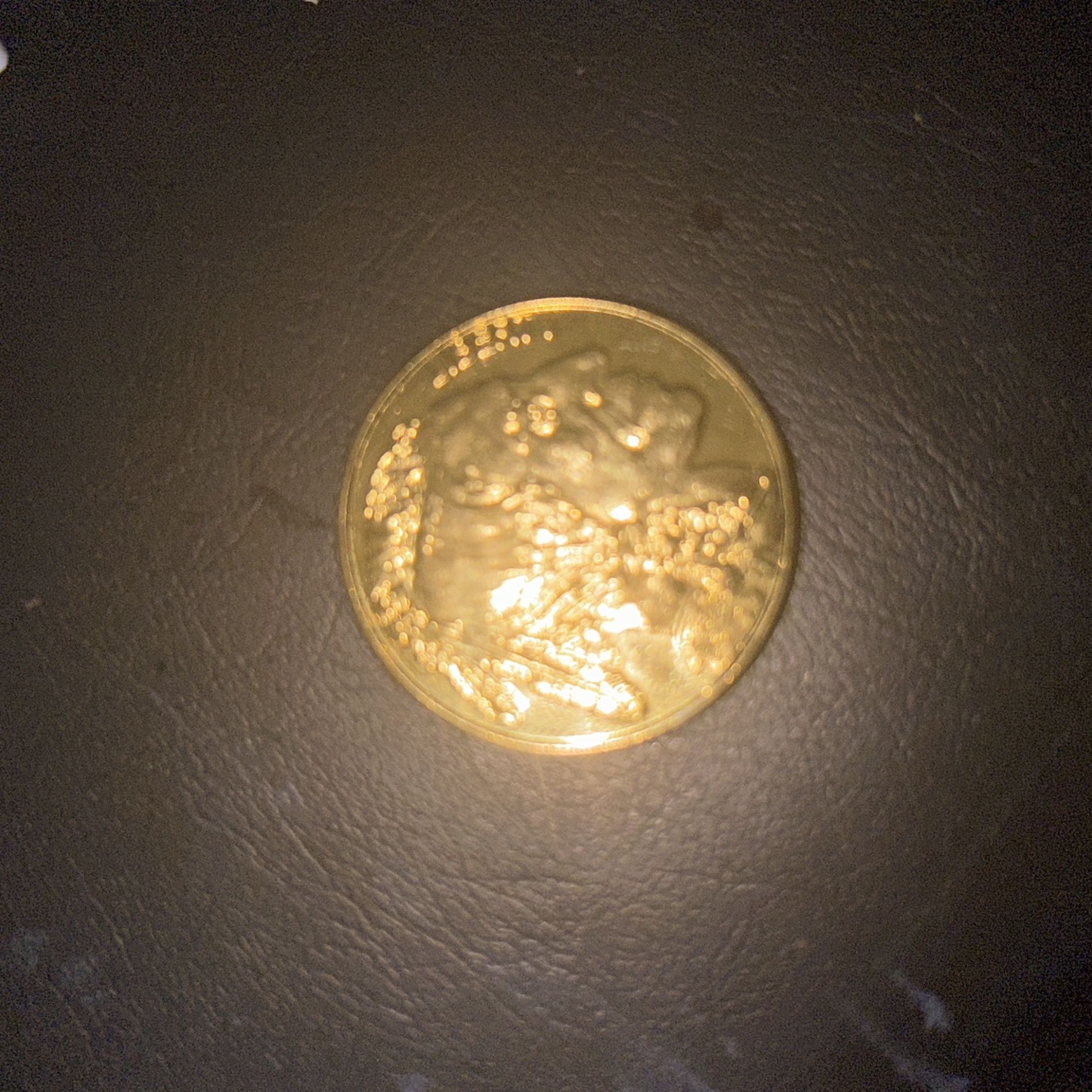 50$ Gold Coin 