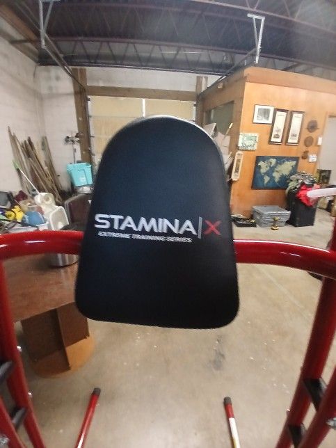 Stamina Pull Up And Dip Stand