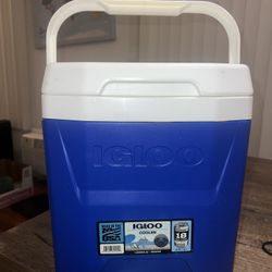 Igloo Cooler 11 L