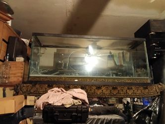 Gold Fish Tanks One 60 Gallon And One Twenty Gallon