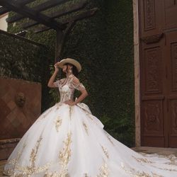 Quinceañera Dress/Sweet 16 Dress
