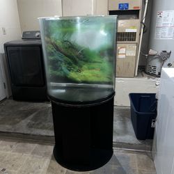 Curved Fish Tank Aquarium w Stand 24in Wide