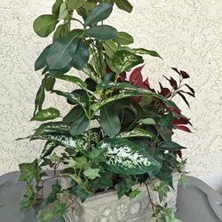 Artificial Plant Arrangement 