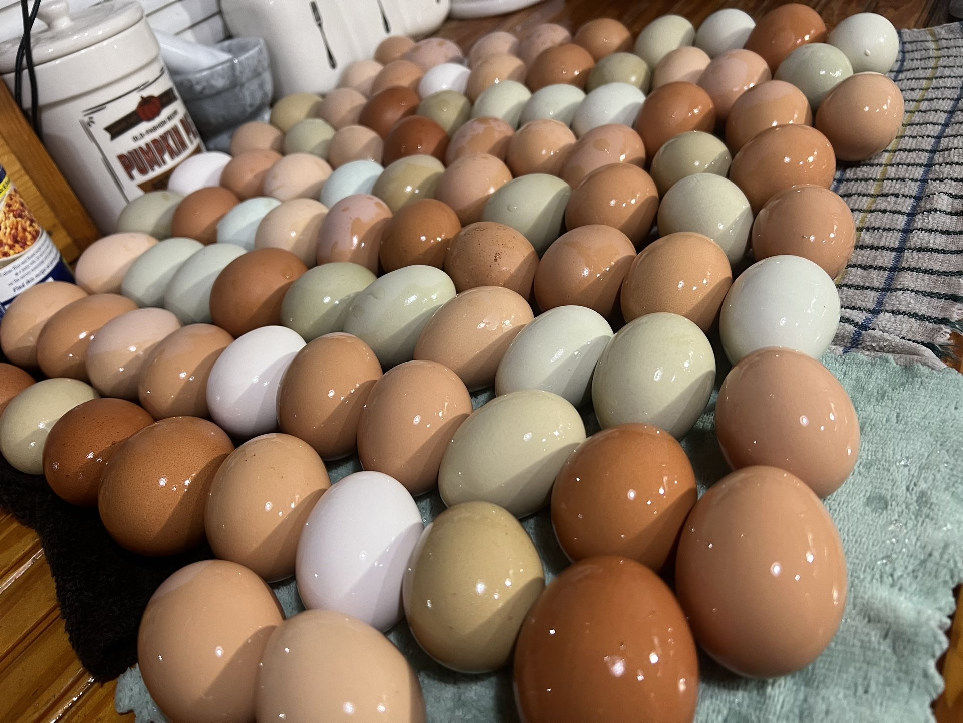 Fresh Eggs Daily🐓🍳