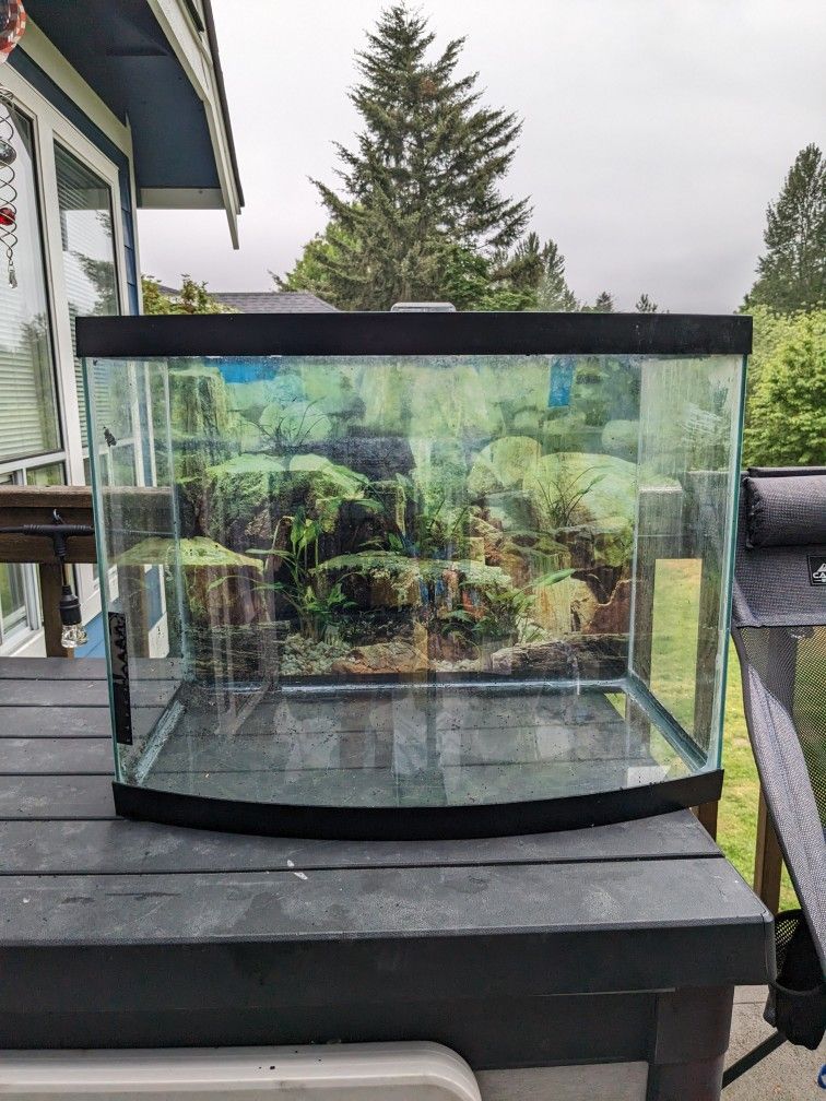 TANK, STAND, WATER FILTER, LIGHTS and BULBS, and so many DECORE