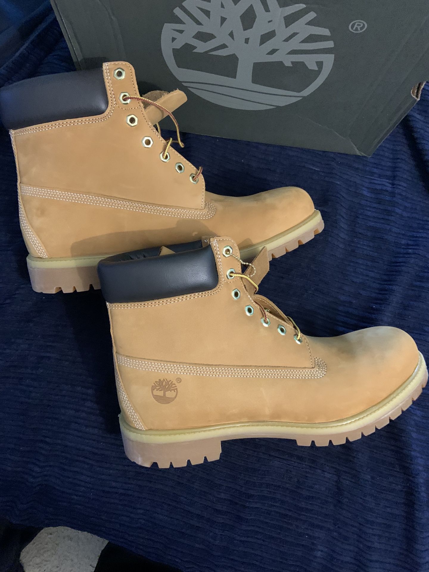 Timberlands size 13 brand new come in the original box