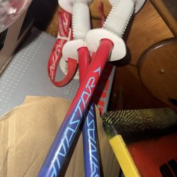 Ski poles And Skis 