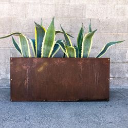 Corten Steel planter 