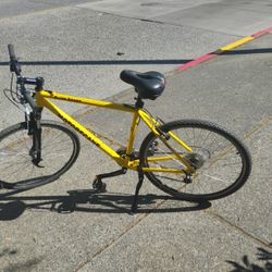 Elite Sport Motobecane