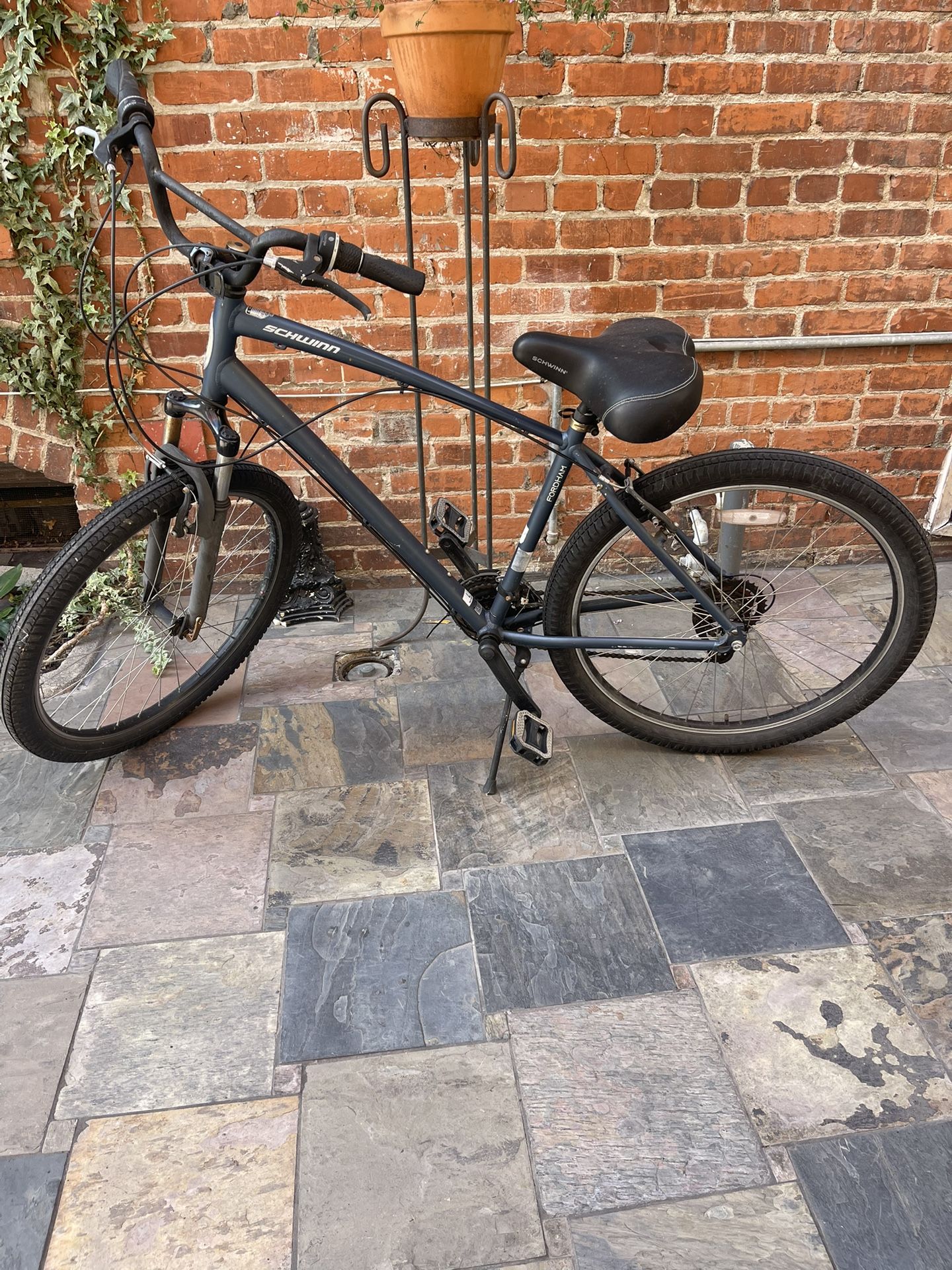 Beach Cruiser