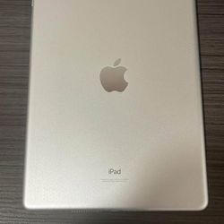 Apple iPad 