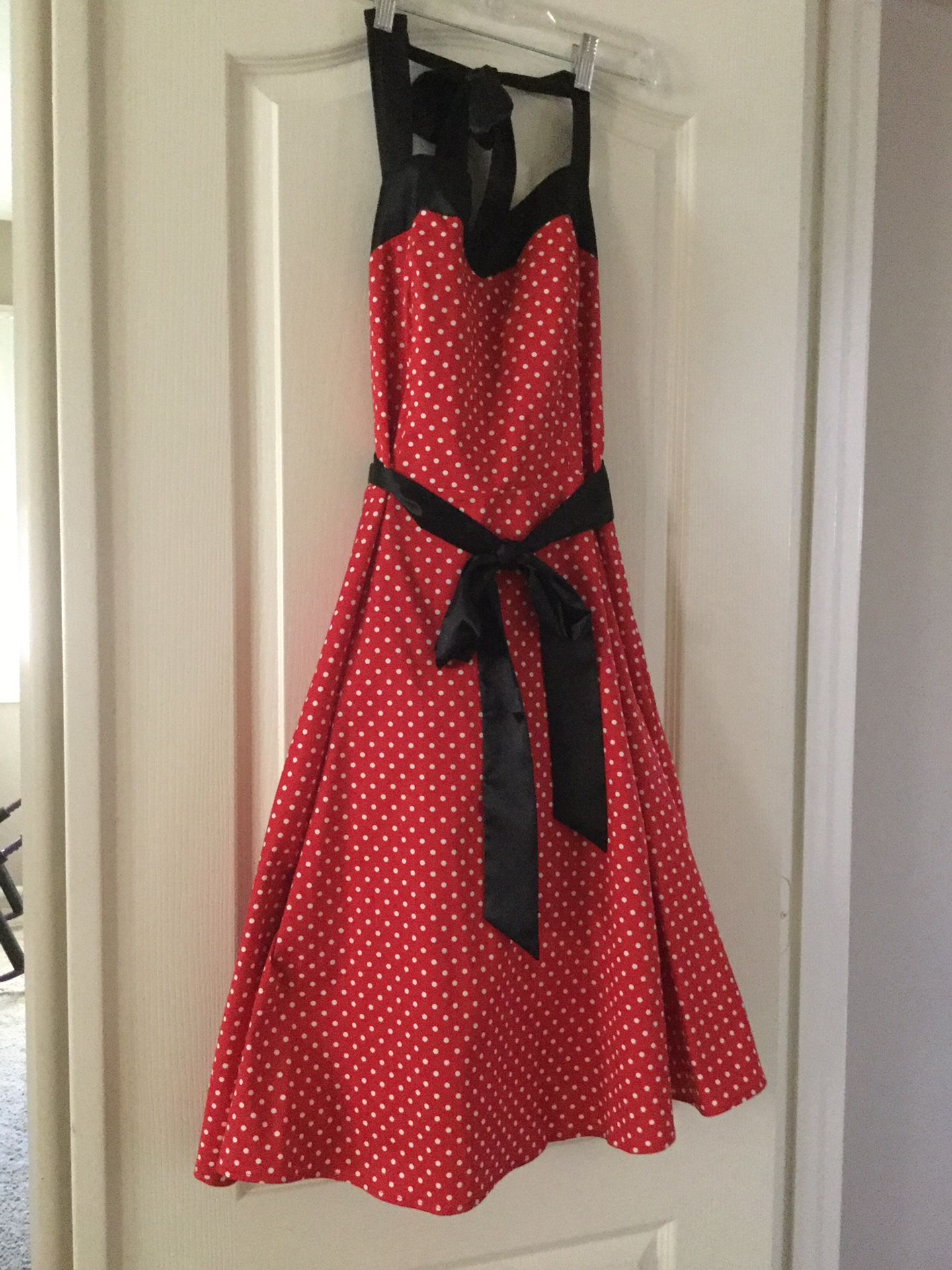 Halloween Costume 50’s Dress