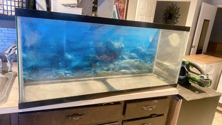 Large Glass Aquarium Fish Tank