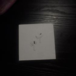 AirPod-open Box