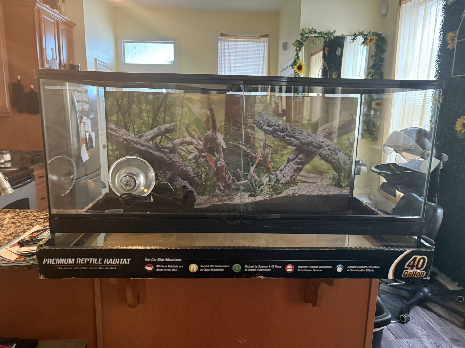 40 Gallon Tank