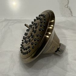 Delta Lahara Shower Head