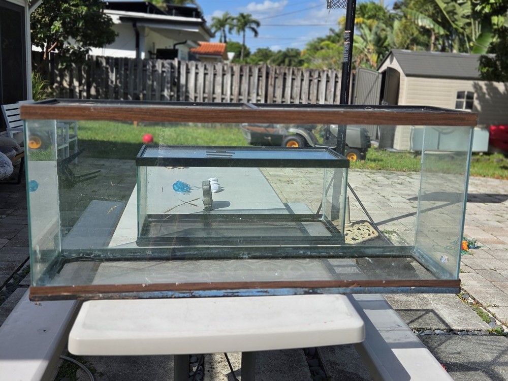 10 And 20 Gallon fish/reptile Tanks