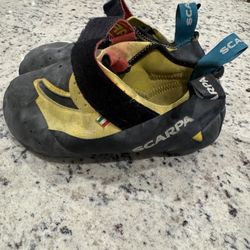 Scarpa Drago