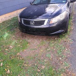 2010 Honda Accord