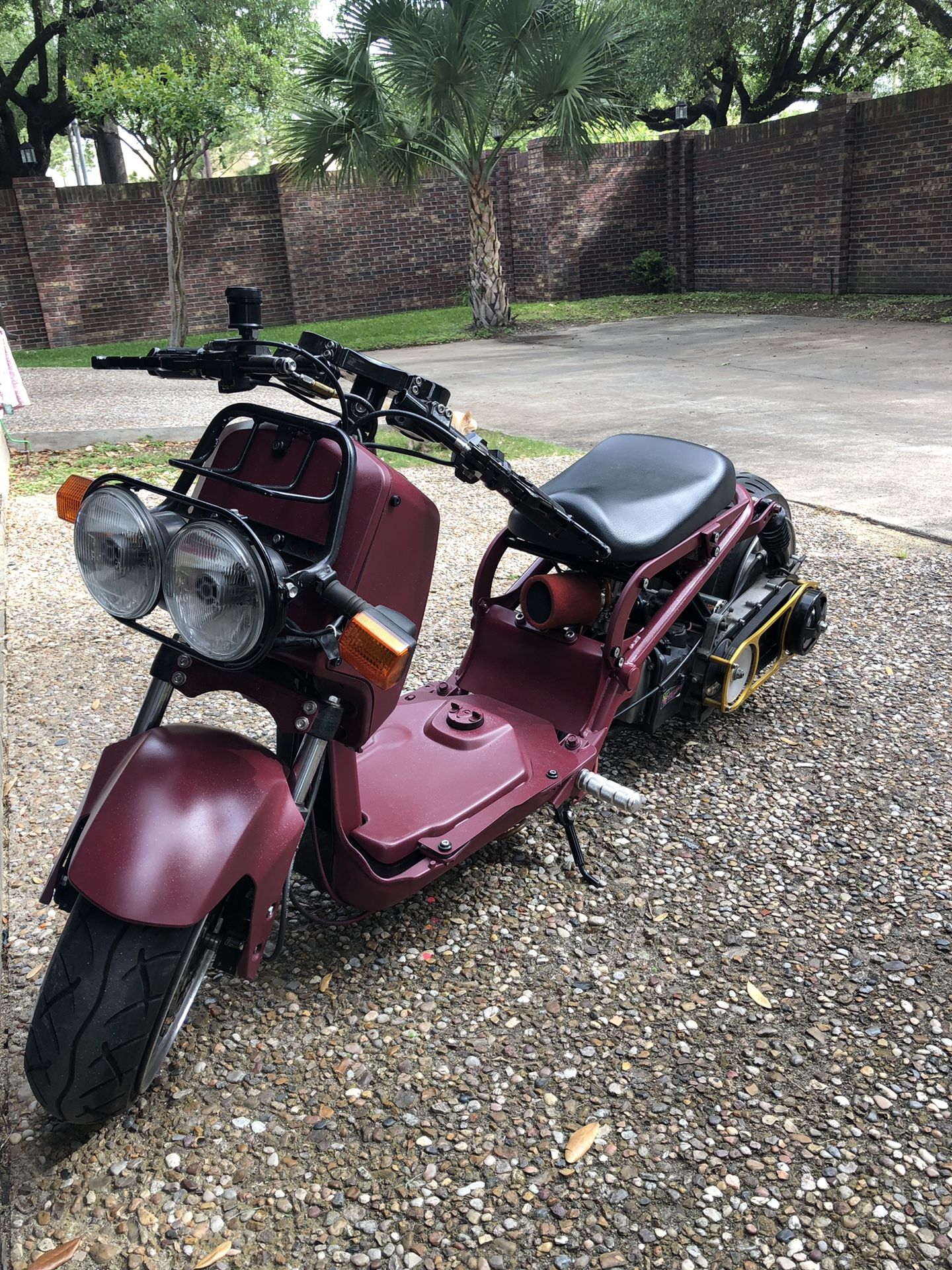 Honda ruckus gy6 custom build