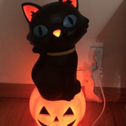 Halloween Cat