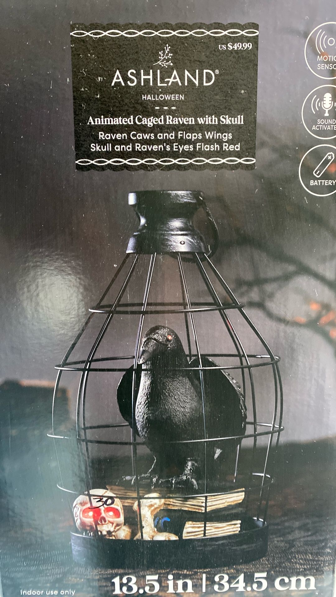 Crow In Cage