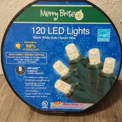 120 LED Lights, White Christmas Lights, Christmas Decorations, Christmas Decor, Christmas Stuff