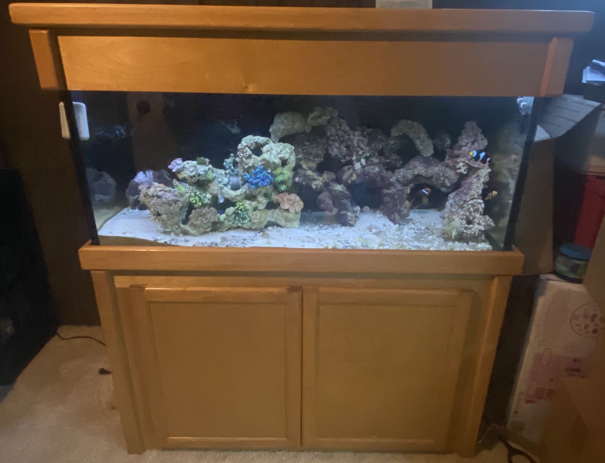 75 gallon saltwater aquarium with sump wooden hood and stand