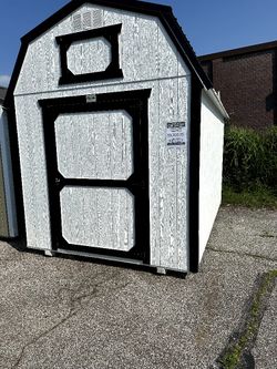$100 Shed 