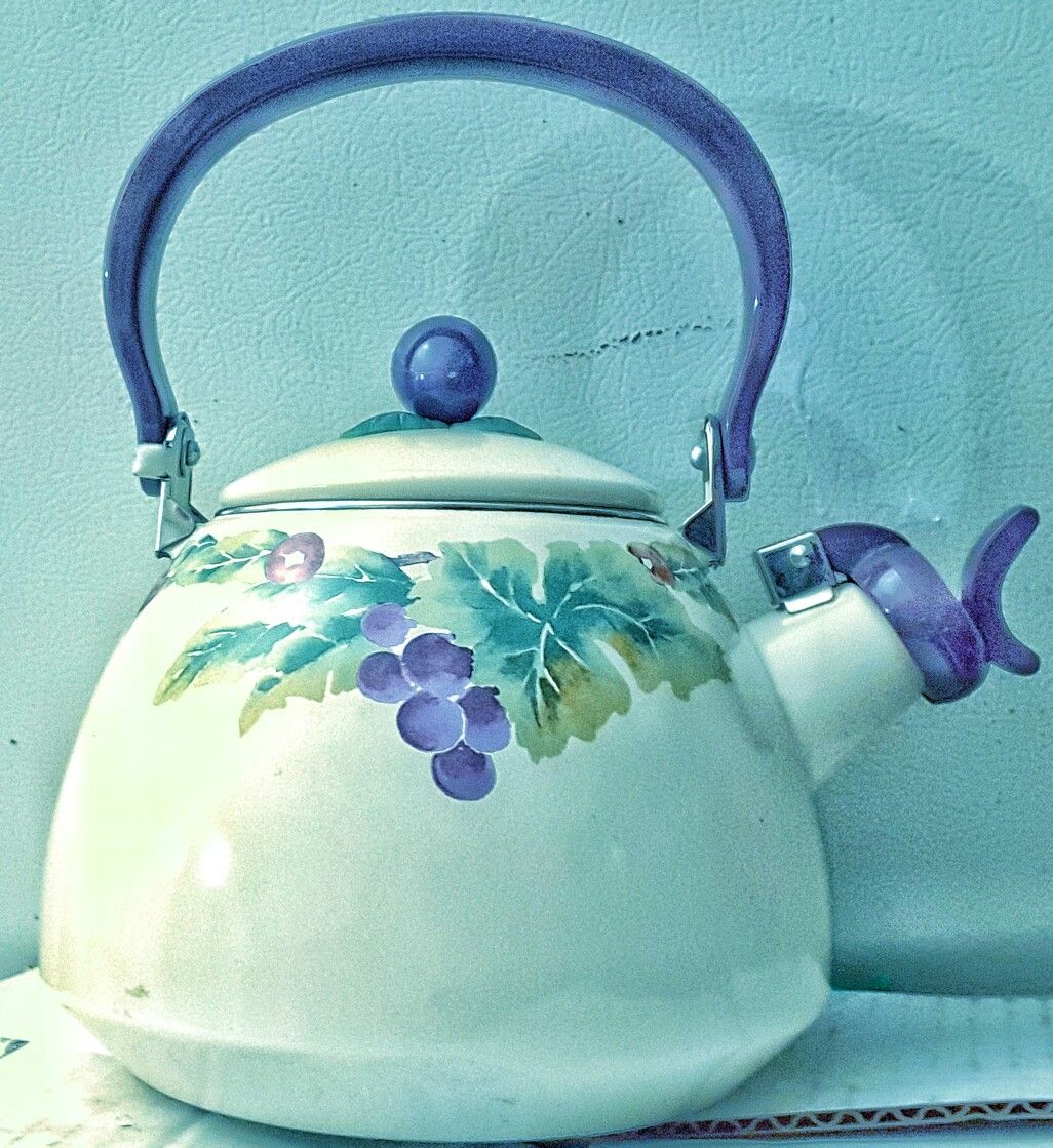 Pfaltzgraff jamberry jam berry grape enamel enamelware whistling tea kettle or water kettle