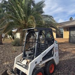 Bobcat
