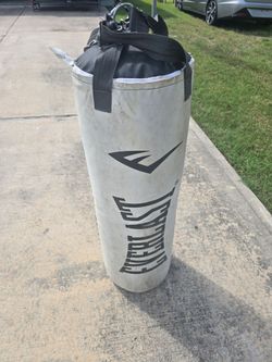 Everlast punching bag