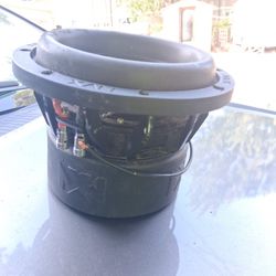 8 Inch Double Coil Subwoofer 