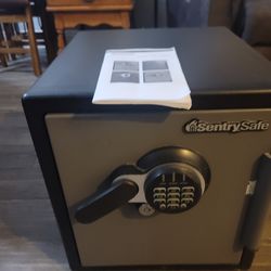 Sentry safe