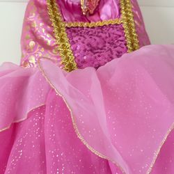 Disney Auora Dress 