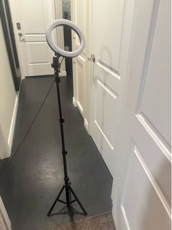 Light/ Lamp