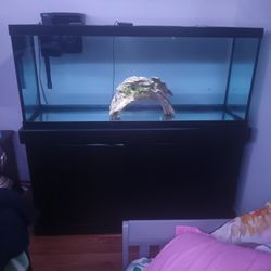 75 Gallon Fish Tank 