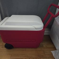 Igloo Cooler With Wheels