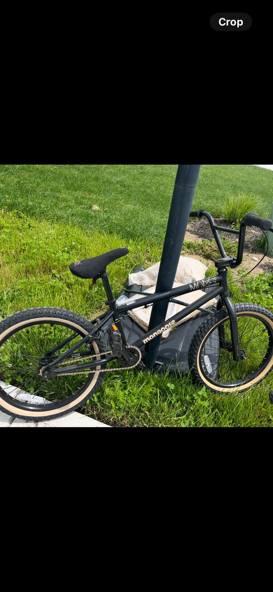 Mongoose Mods