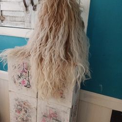 Blonde Wig