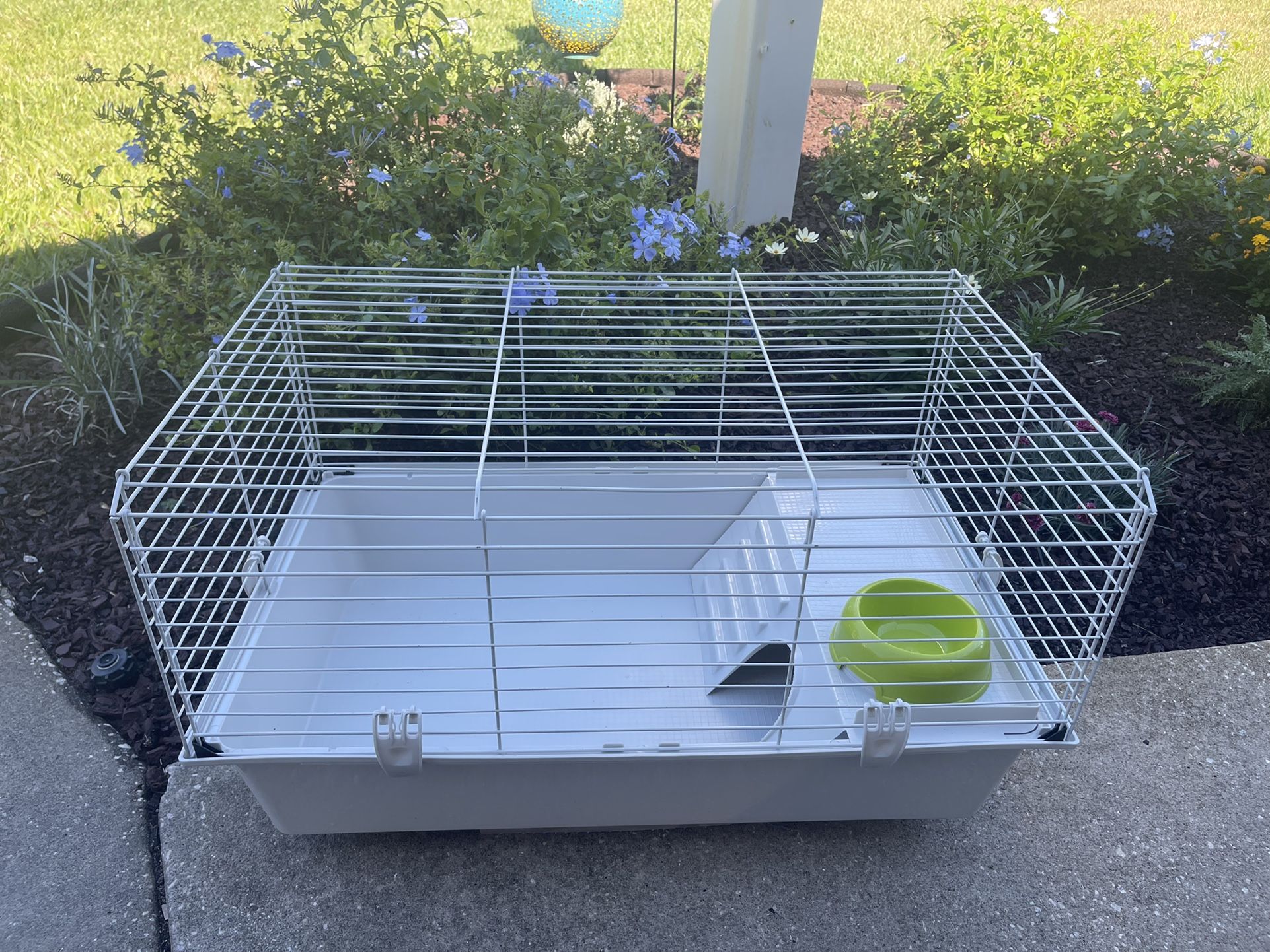 Guinea Pig, Rabbit, Pet Cage 