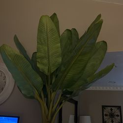 Restoration Hardware Banana Plant 10 Foot Tall