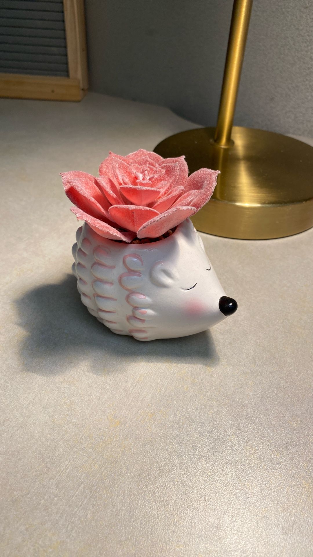 Hedgehog Fake Succulent Plant 