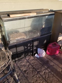 Fishtank