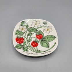 Arabia Botanica 'Fragaria vesca' (wild strawberry) Wall Plate Designed By Esteri